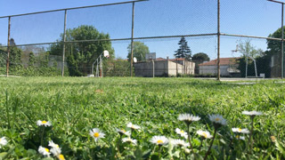 Basketbol ve Tenis Sahası