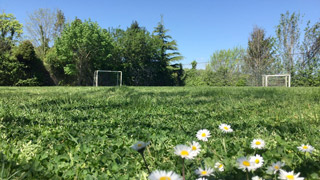 Futbol Sahası